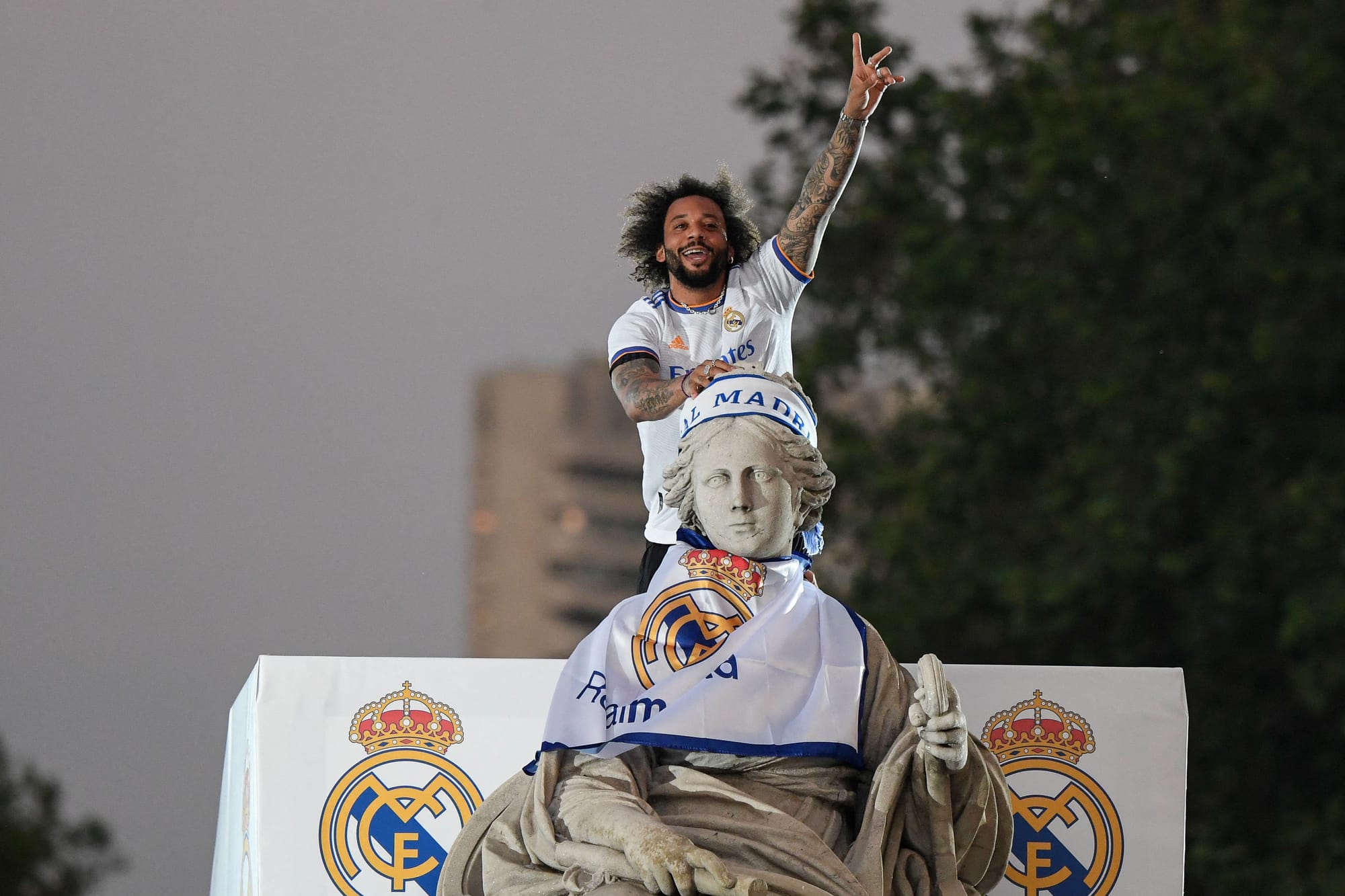 运用自己的 运用自己的