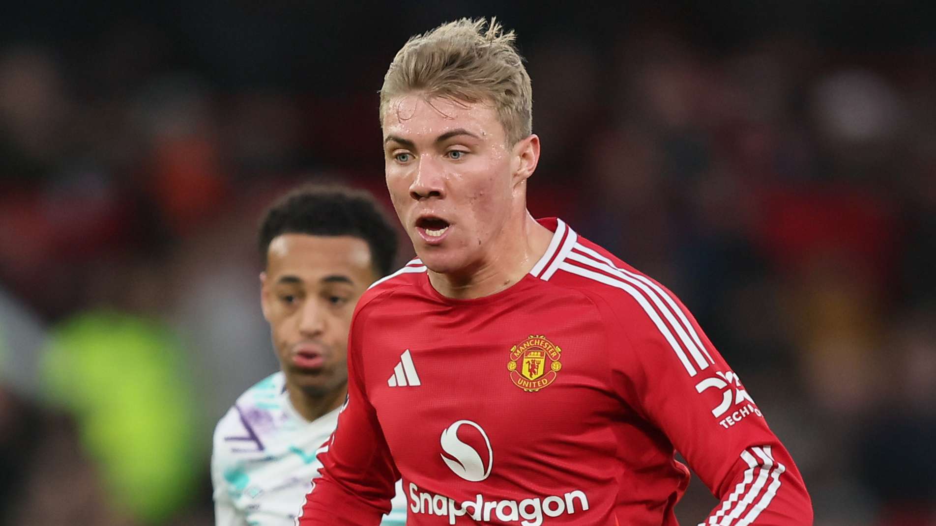 顽强拼搏的 顽强拼搏的